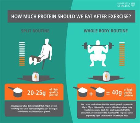 How Much Protein Can Your Body Process at One Time: And Why Do We Still Eat More Than We Need?