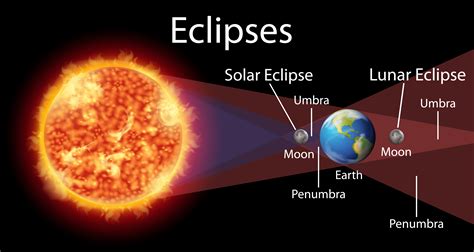 How Much Protein Is in a Cookie? And Why Does It Matter When the Moon Eclipses the Sun?