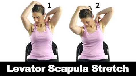 How to Stretch Levator Scapulae: Unlocking the Secrets of Shoulder Relief and Beyond